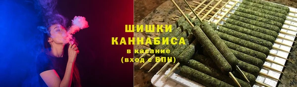 ГАЛЛЮЦИНОГЕННЫЕ ГРИБЫ Богданович